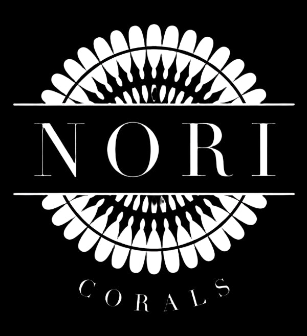 Nori Corals